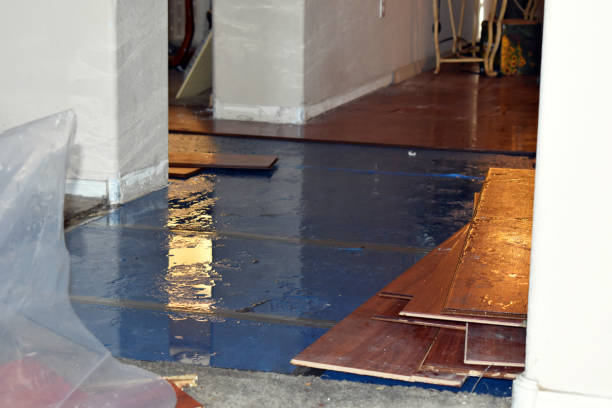 Professional Water Damage technician working in Schoolcraft, MI